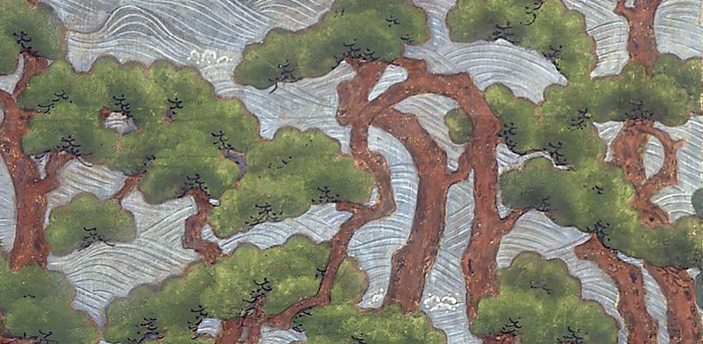 The Dignified Pine&nbsp;Tree