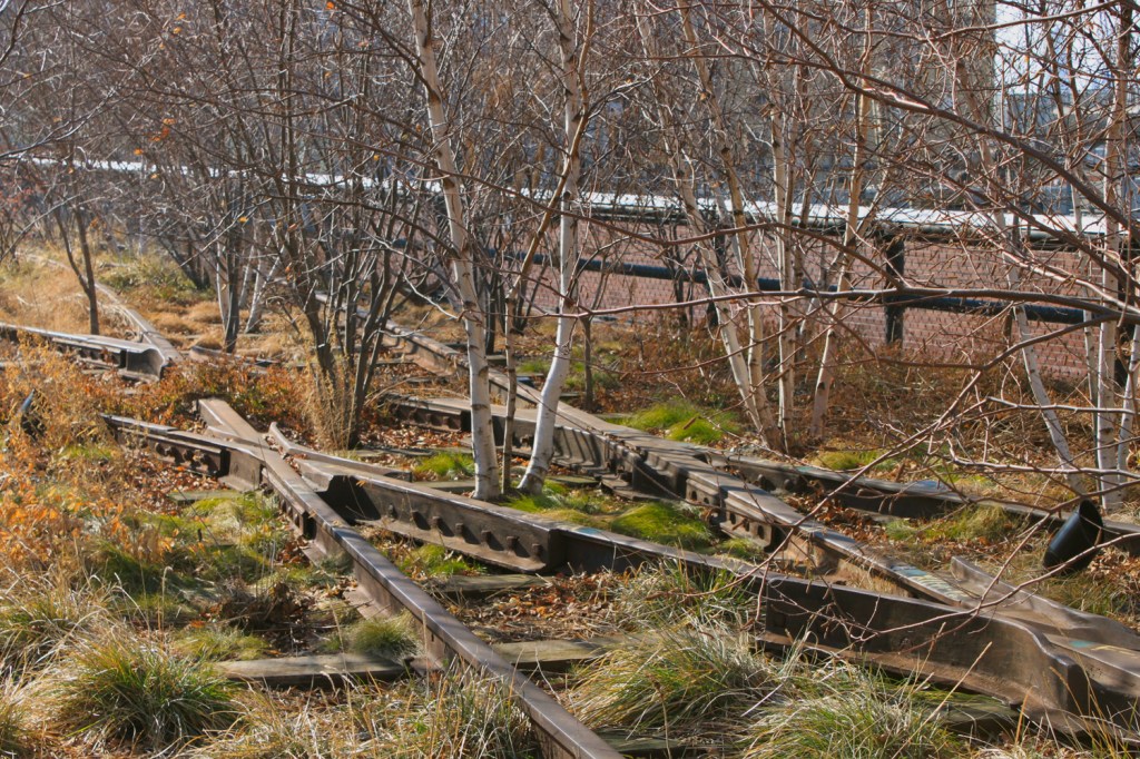 New York High by Claudia&nbsp;Brennan