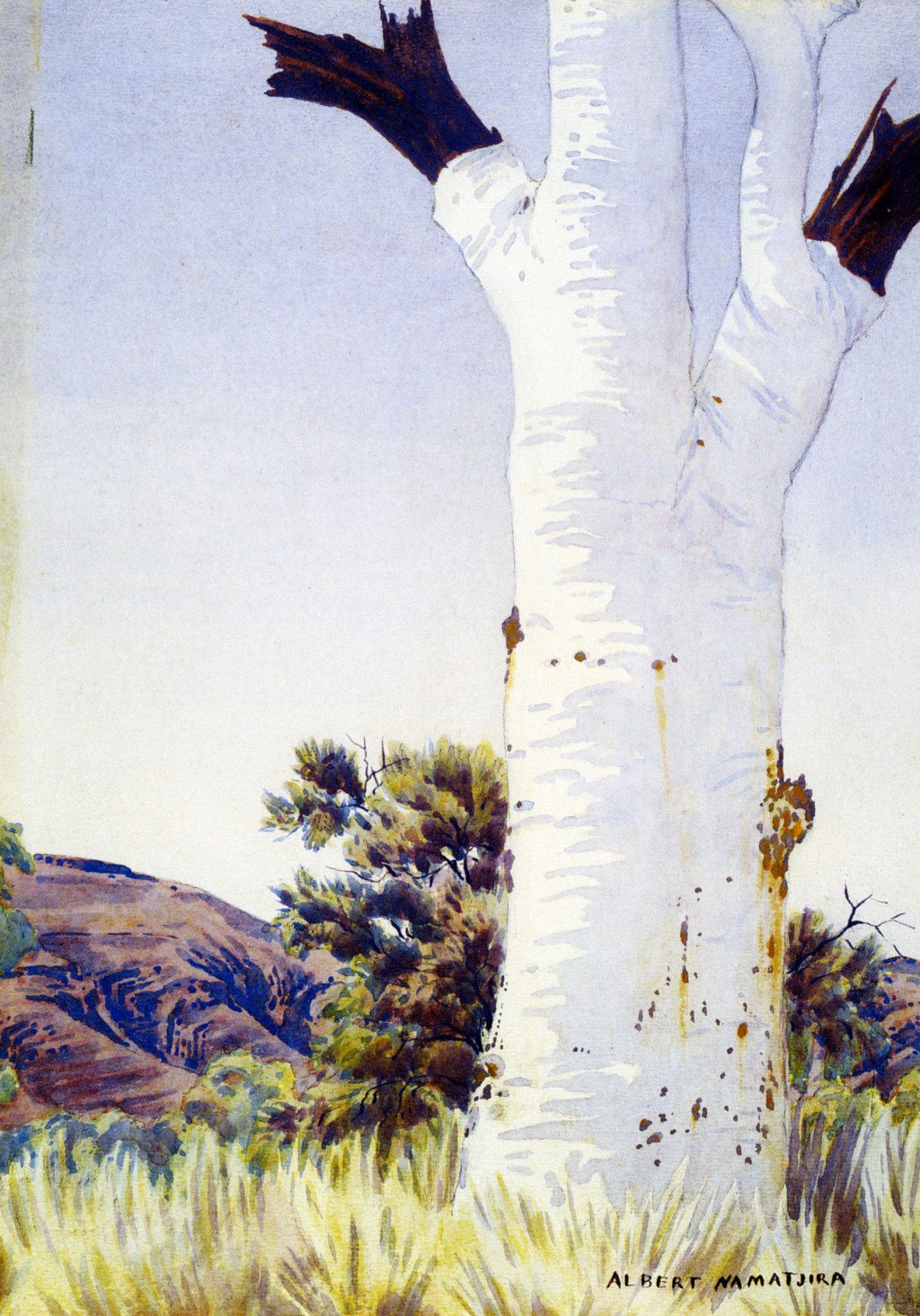 Albert Namatjira’s Ghosts