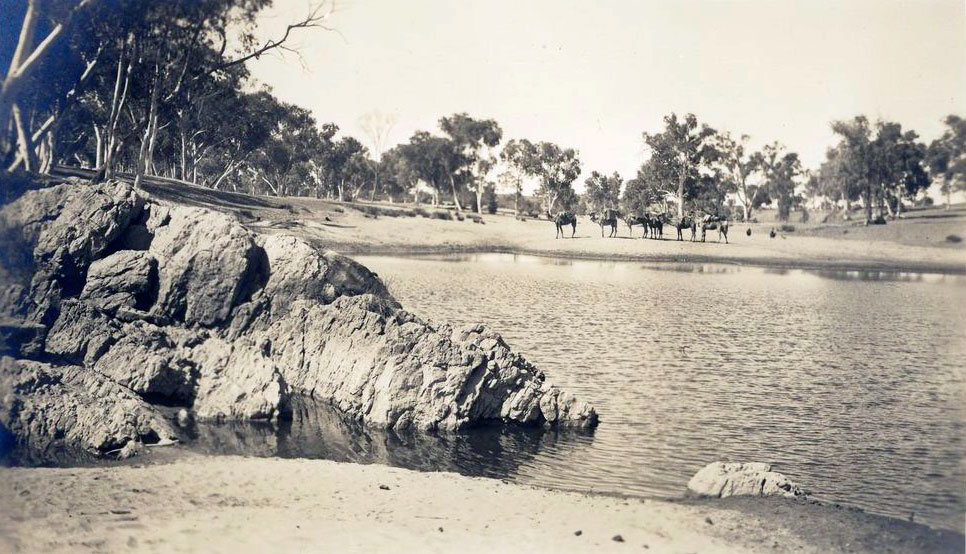 Upper Middle Class Women