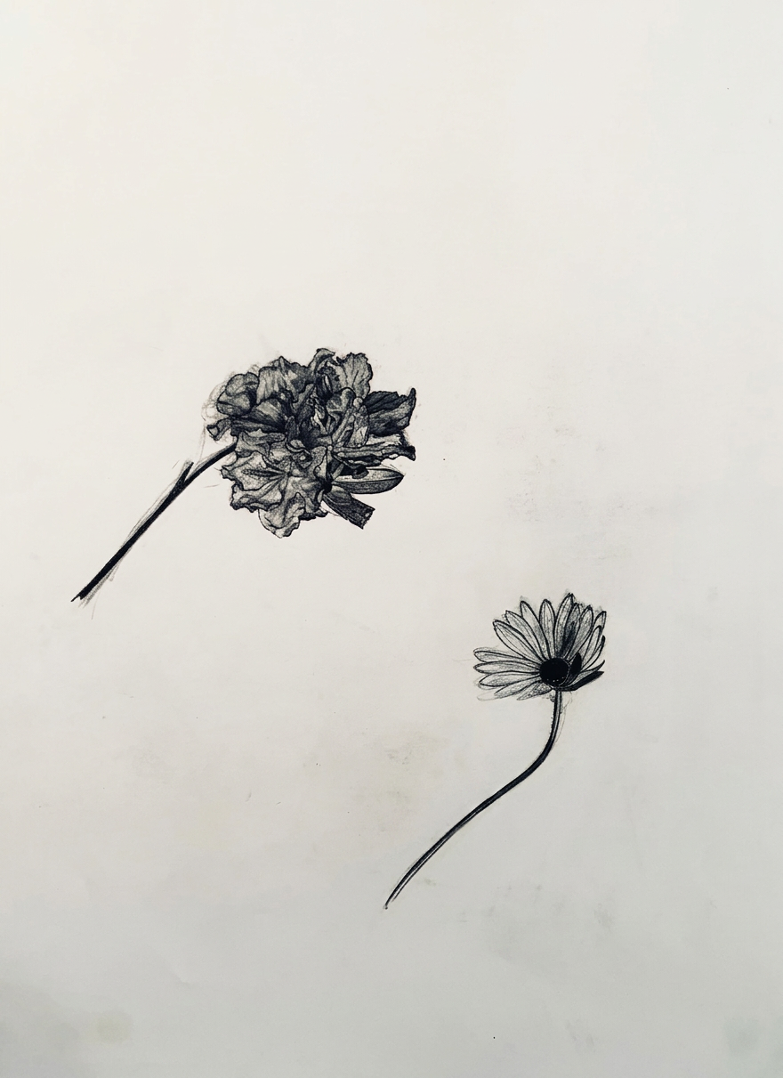 Amanda-Ritson-10-Flora – JULIA RITSON